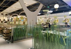 餐廳生意不好應(yīng)該怎么辦，餐飲老兵的8條建議：其中有幾條餐飲人都踩過！
